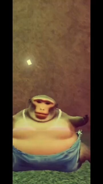 What’s going on here ?