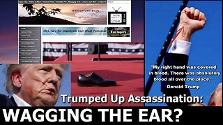 [MixedNutsPodcast] The Trumped Up Assassination: Wagging the Ear? [Jul 20, 2024]