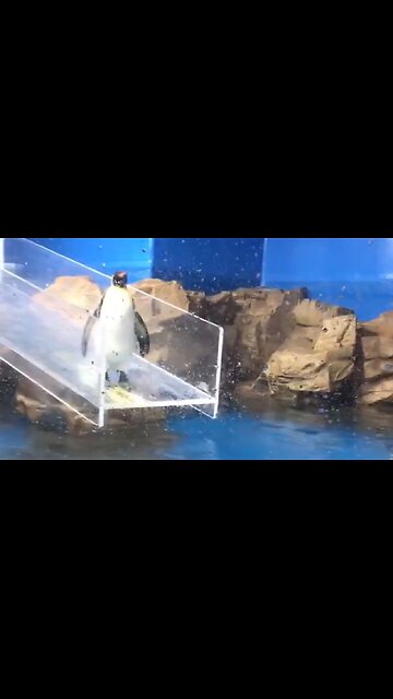 I Know That Was The Most Embarrassing Moment In His Life