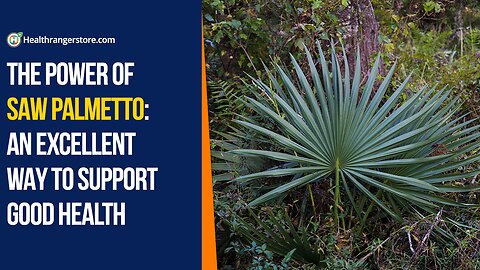 The power of Saw Palmetto: An excellent way to support good health