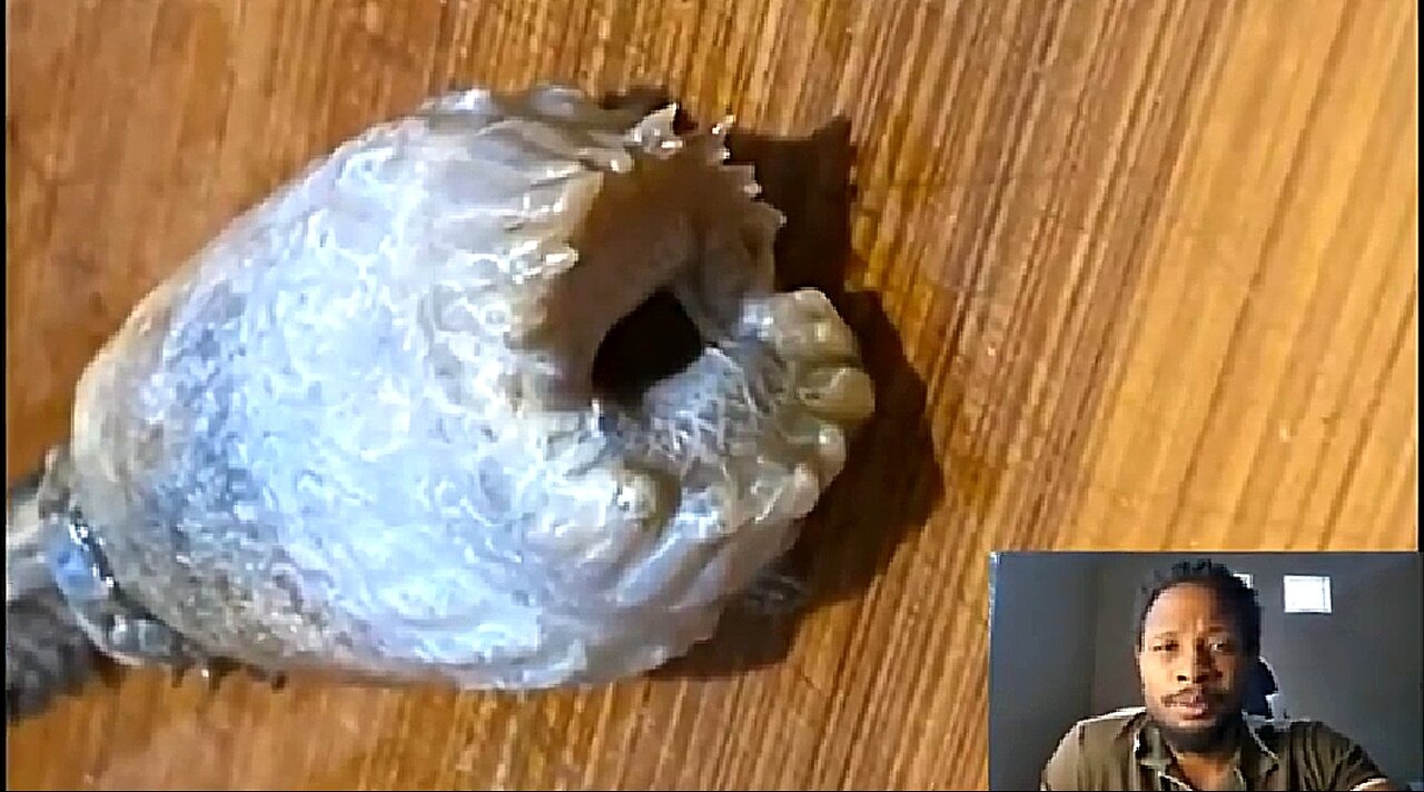 SOMETHING HAS BEEN LOOSED 💥