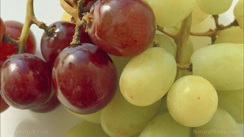 "Resveratrol's Impact on Brain Power, Health, and Longevity"