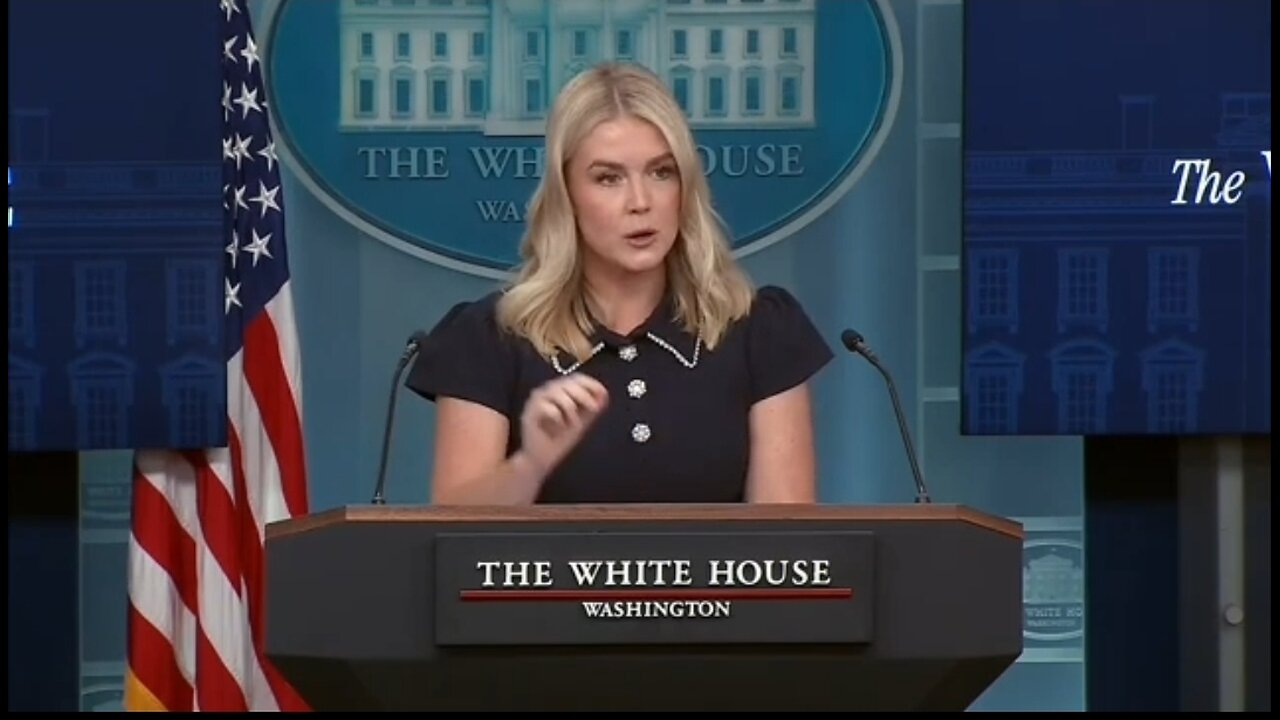 Karoline Leavitt: Hold Adam Schiff Accountable For Russia Hoax