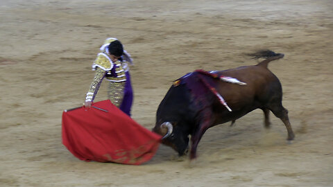 2025 07 11 TERUEL CORRIDA DE TOROS MURTEIRA GRAVE