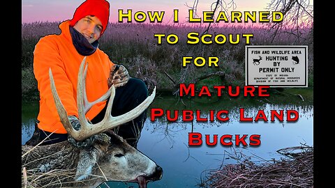 From Zero to Hero: A Public Land Story