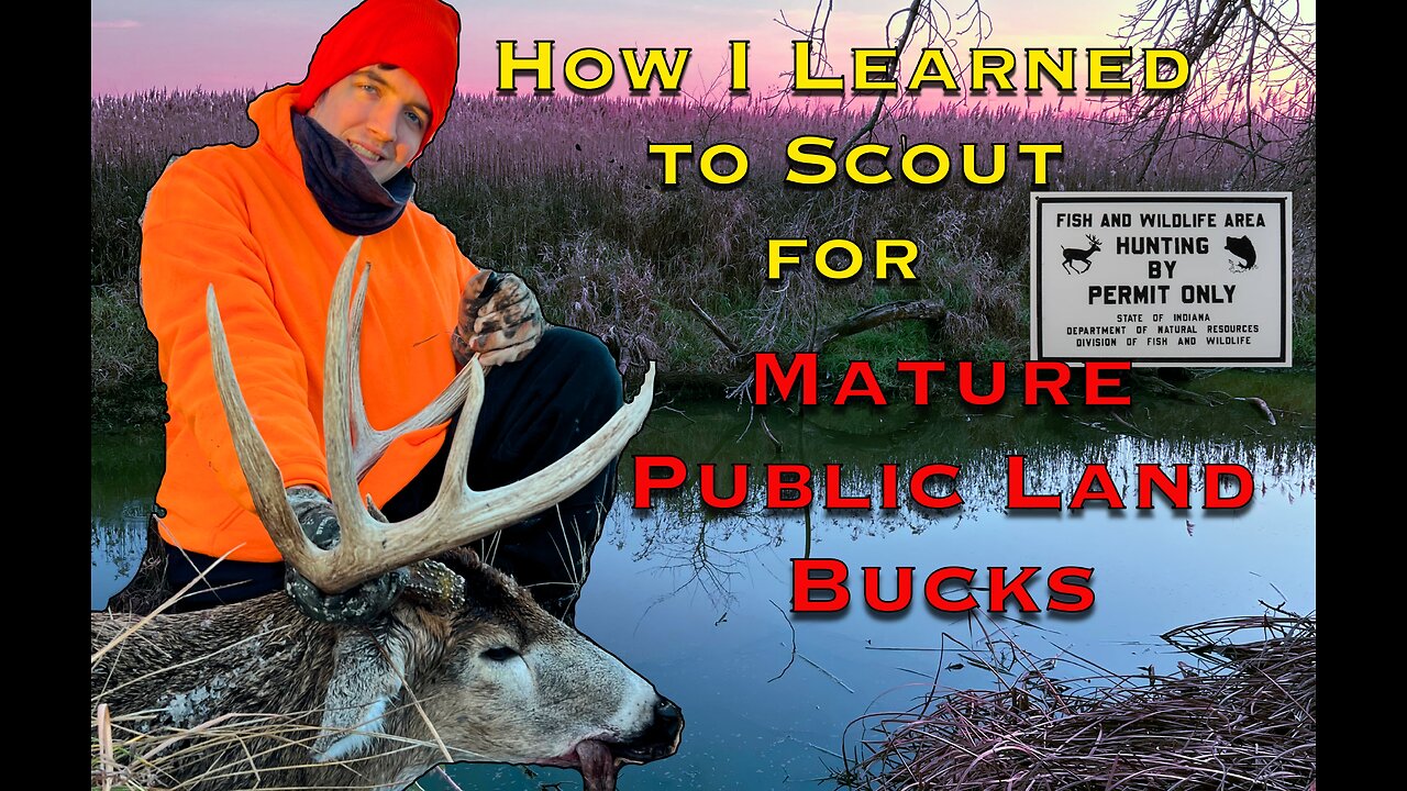 From Zero to Hero: A Public Land Story