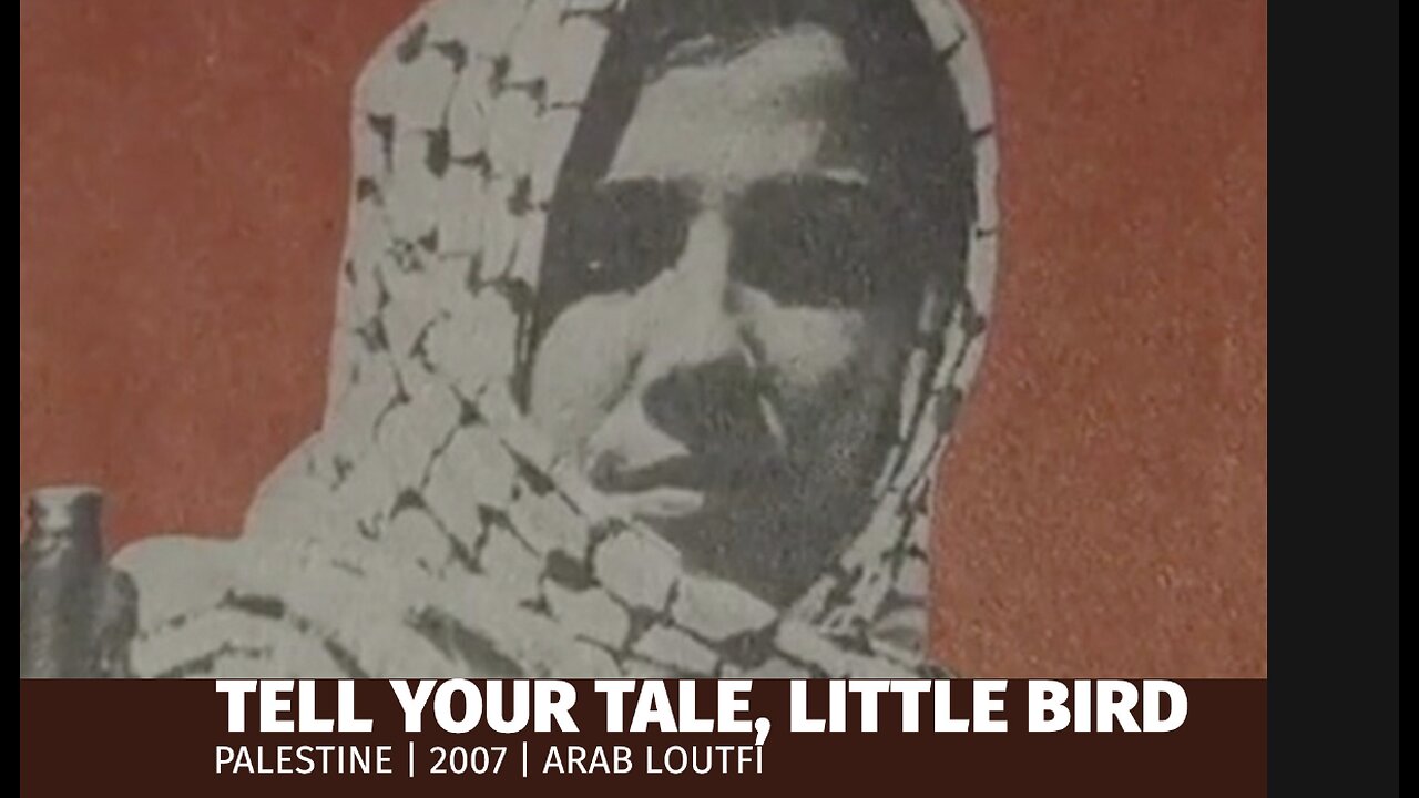 Tell Your tale Little Bird (2007)