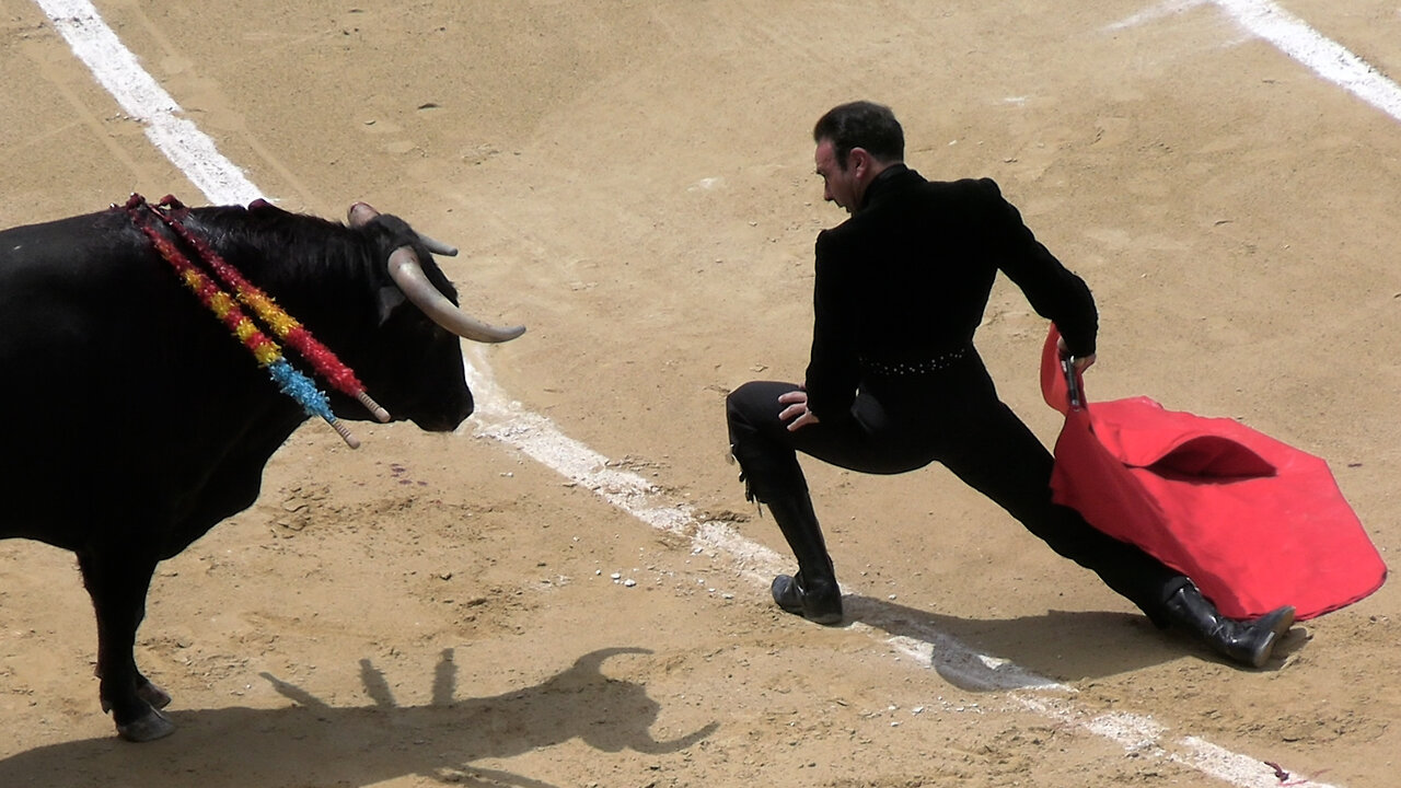 2025 05 11 VALENCIA FESTIVAL DANA