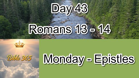 Bible 365 - Day 43: Epistles - Romans 13-14