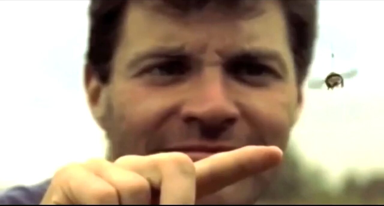 THE LEVITATION OF THE BUMBLEBEE. 🐝