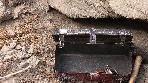A treasure chest hidden in the Brazilian Amazon Forest has been found