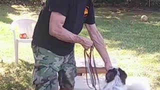 Leash Handling short 1d