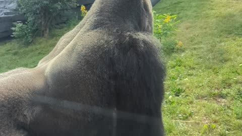 Get off my turf