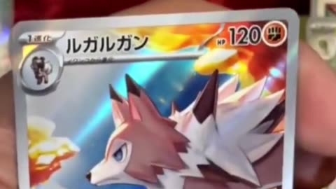 Learning to love exercising and getting the TCG hits | Pokemon Japanese