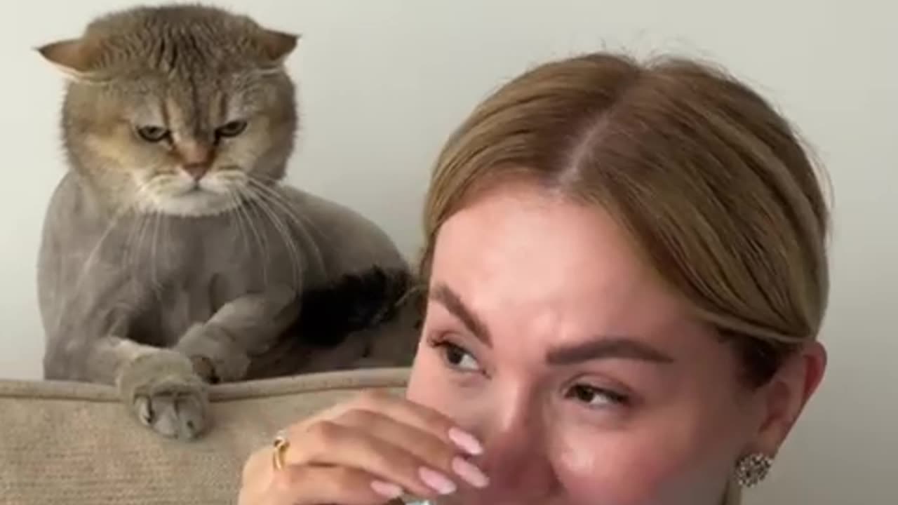 When Your Cat Doesn't Like Your Friend