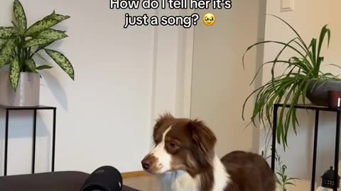 😂🐾 Turn Around Fail! | FunFM