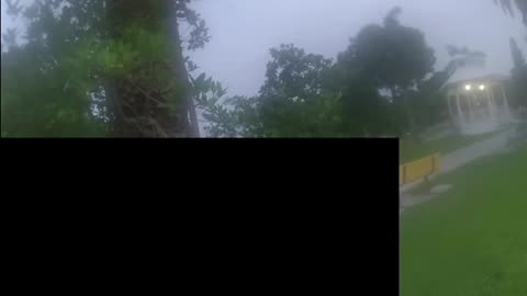 Florida Woman Arrested for Masturbating in Park