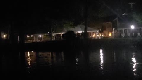 Ducks on the Water