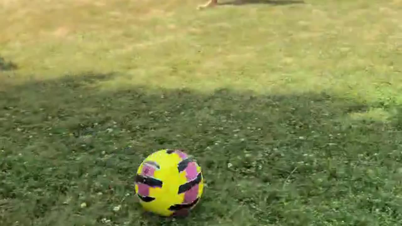 Ilia Topuria Was Impressed by His Son's Celebration after He Scored a Goal