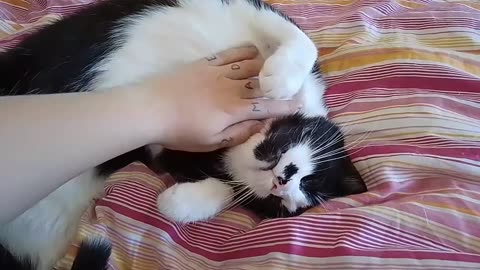 Eyebleach