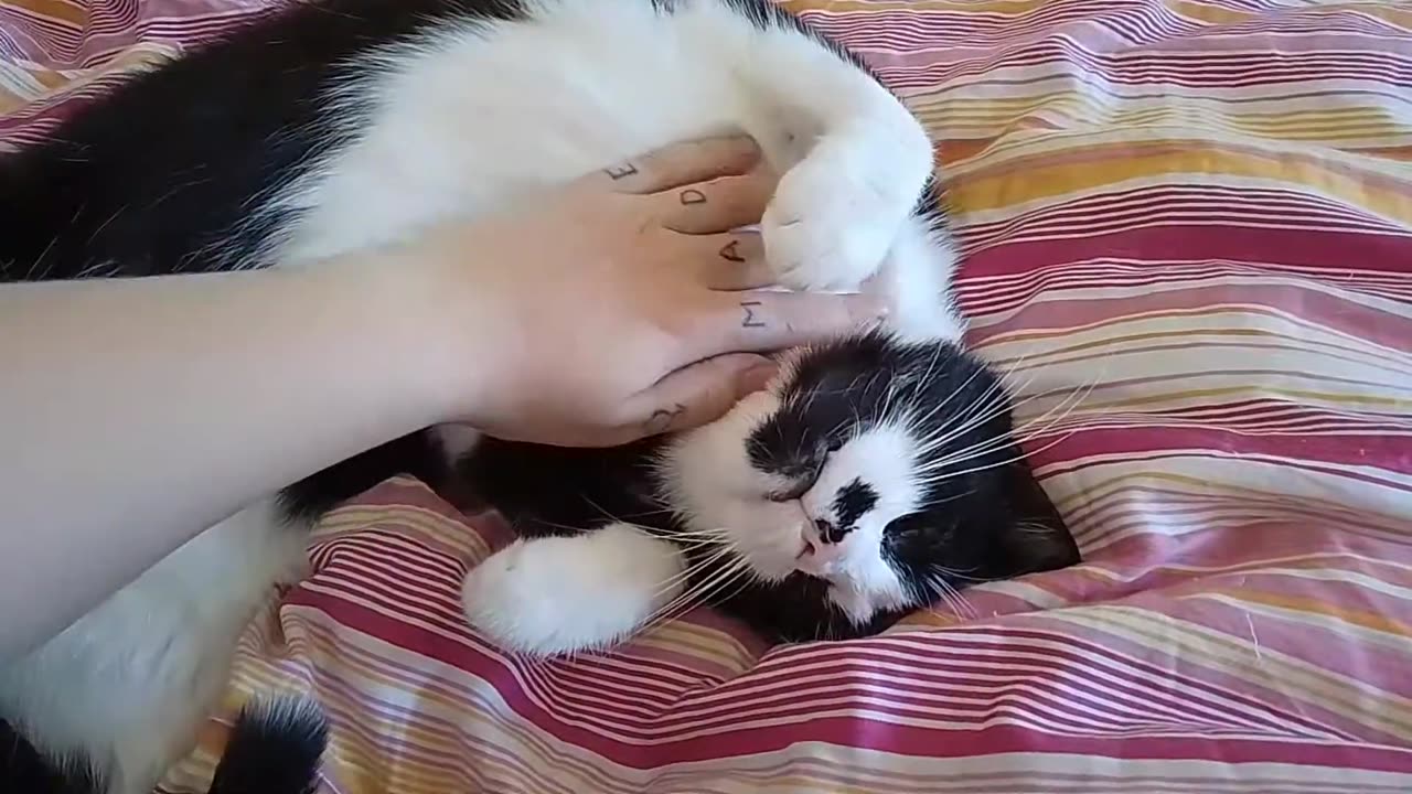Eyebleach