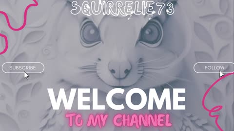 Burn Art, Blaze Trails, Game Hard – Squirrelie’s In!