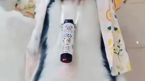 .
