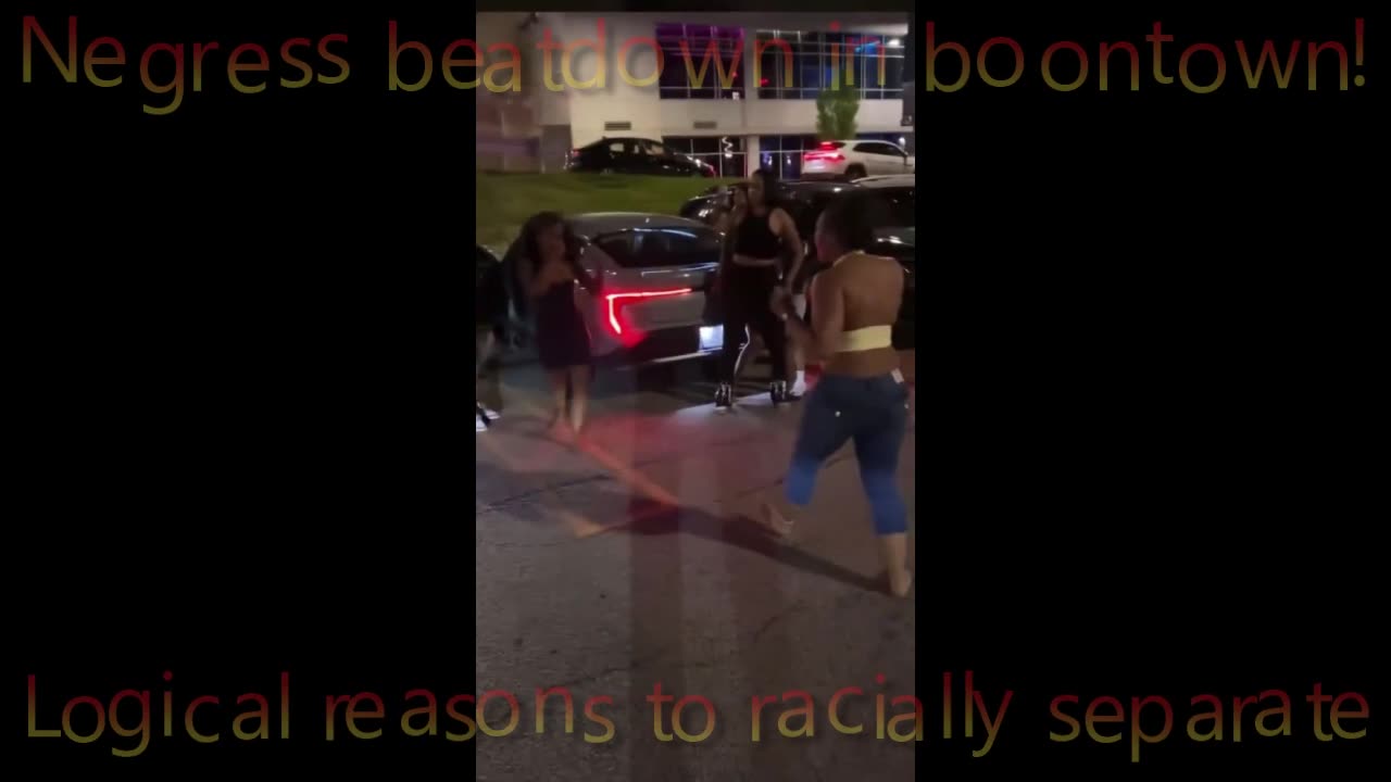 Psychopathic Black Gangster voices over Negress Beatdown in Boontown #2