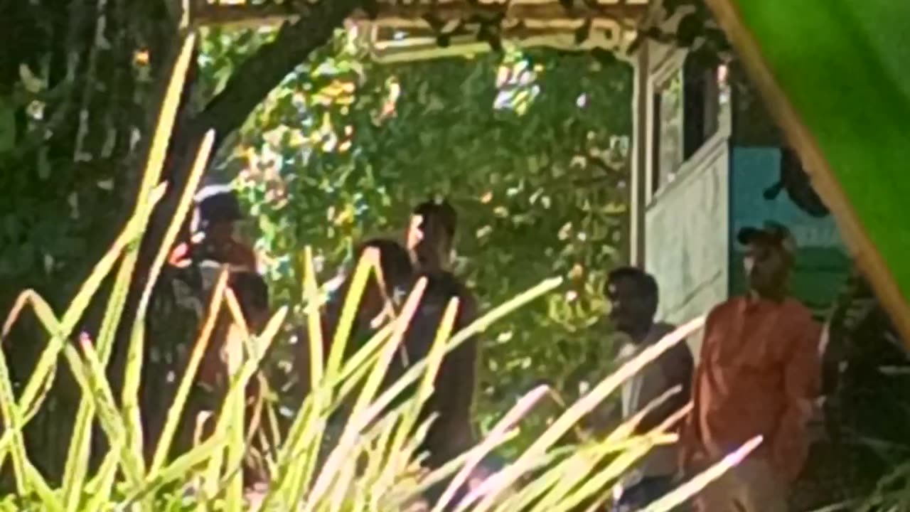 5.5.2025 Party in the Park, Kuranda (2)