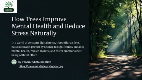 How Trees Improve Mental Health and Reduce Stress Naturally