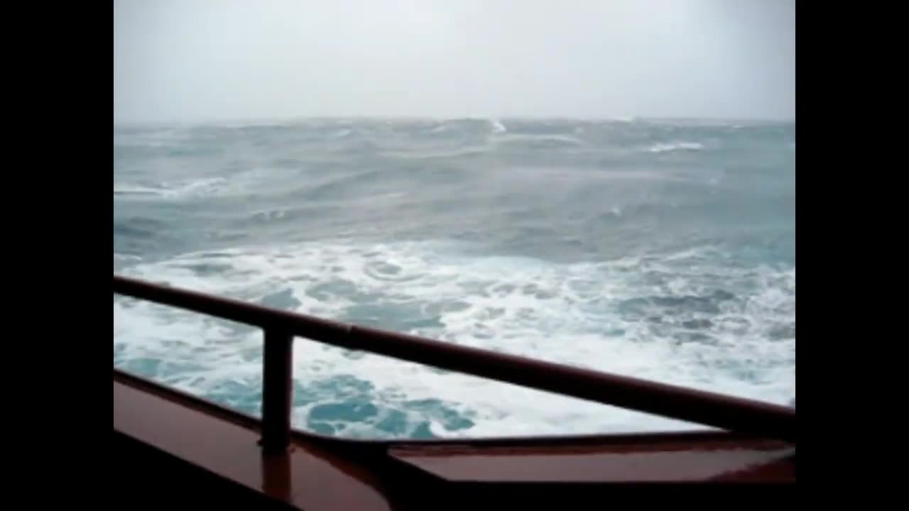 Ocean Life