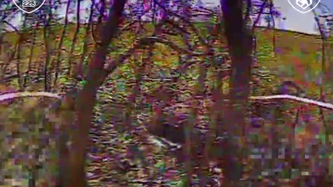Russians Annihilated While Trying to Take Up Positions in the Forest Strip(Sumy)