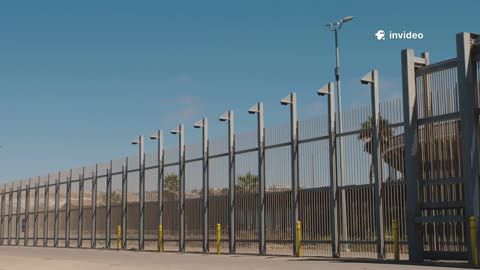 ILLEGALS GOING HOME FROM ALIGATOR ALCATRAZ