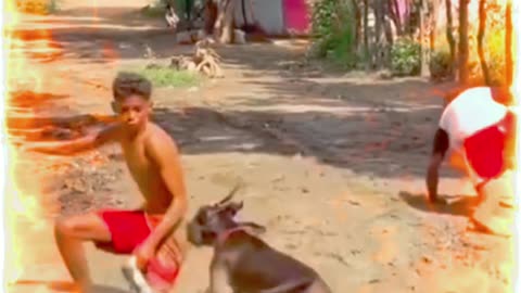 FUNNY VIDEO 🤣🤣🤣🤣🤣