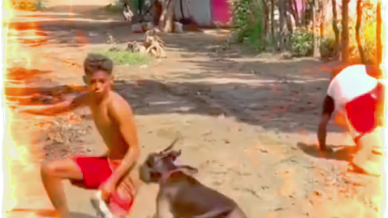 FUNNY VIDEO 🤣🤣🤣🤣🤣
