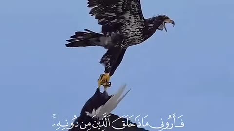 Jazakallah Subahanallah ♥️✨🕊️