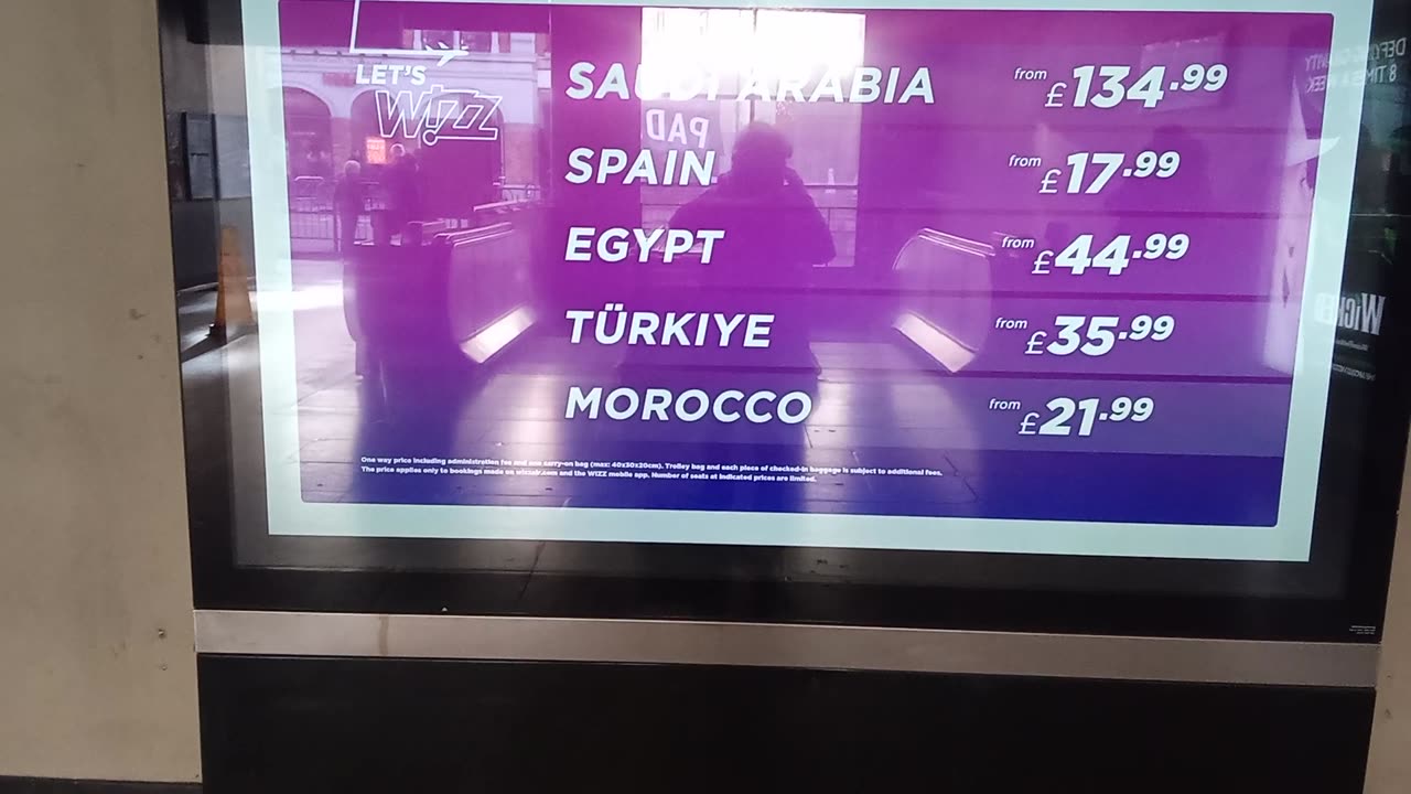 Camel Says Good News!