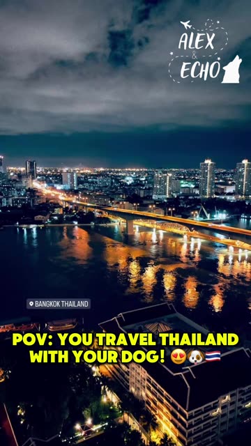 POV: You Travel Thailand with Your Dog! 😍🐶🇹🇭 (Full Video On Our Channel!) 🎥