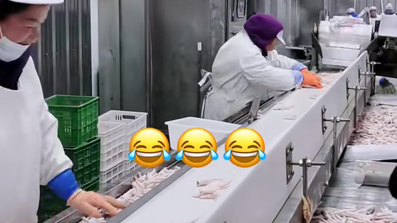 😮💥 Satisfying Machine In Action! | FeedMyCuriosity