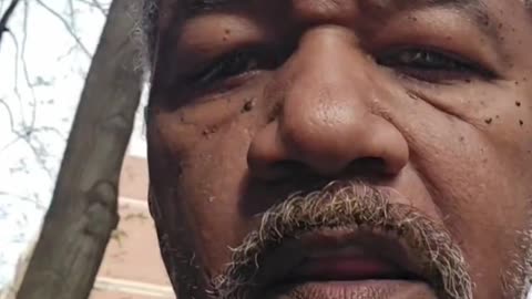 Elise Stefanik for NY Governor: Broken GOP Looks To Stefanik For Unlikely Rescue