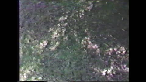 Spring 1989 - Dick Sutphen & Tara Sutphen
