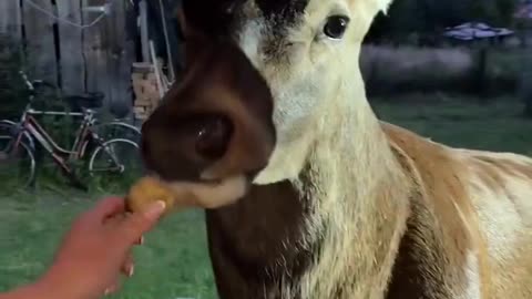 Mmm .. Potatoes