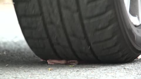 More Crushed Under Tires