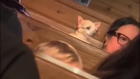😂🍽️ This Restaurant Conversation Will Leave You in Stitches! | FunFM