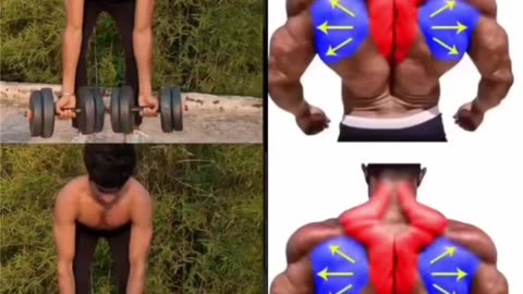 STRONGER Back with DUMBBELLS Best Dumbbell Back Workout!