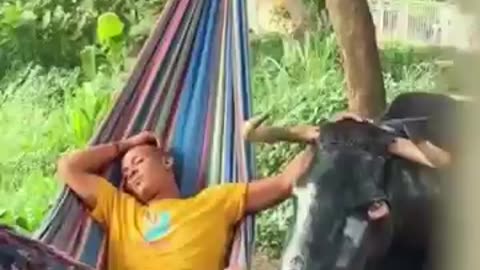 Funny comedy videos