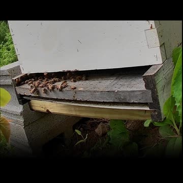 Monday Morning Sun Up 12 May 2025