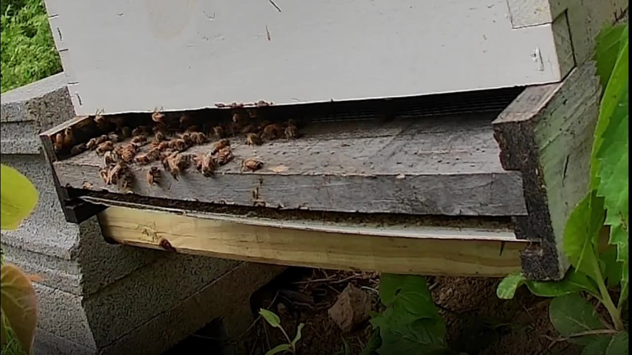 Monday Morning Sun Up 12 May 2025