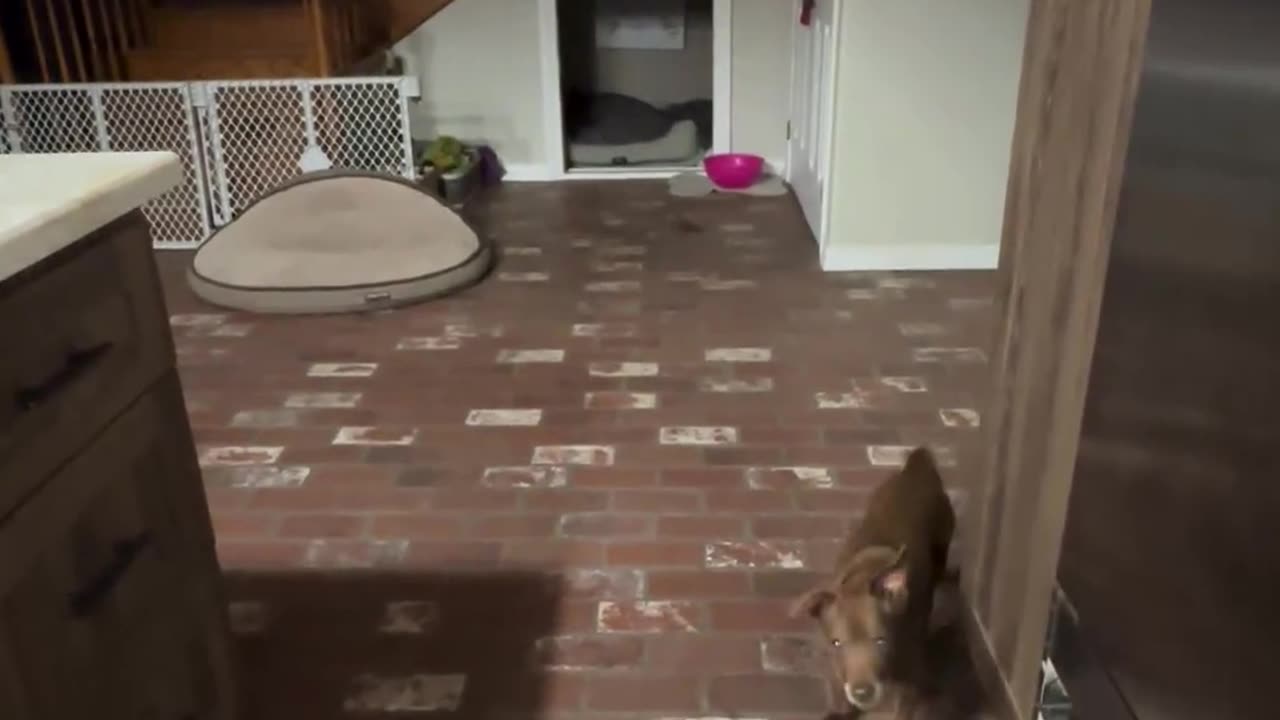 😂🤣 Why Did He Bring That to School?! | FunFM