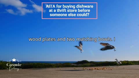 AITA for buying dishware at a thrift store before someone else could?